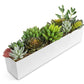 Small Rectangular Planter Pot/Window Sill Planters-White