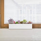 Small Rectangular Planter Pot/Window Sill Planters-White