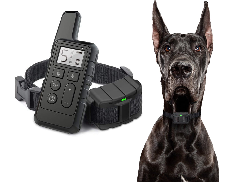 2 dog hotsell e collar